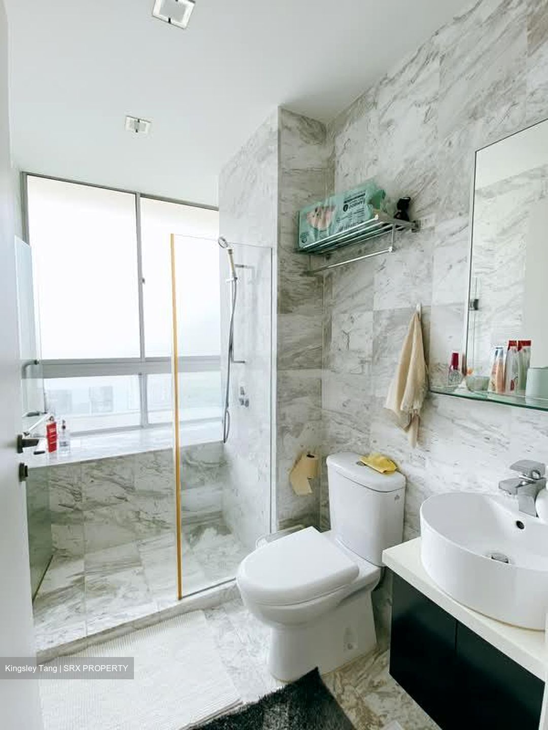 Zenith (D10), Apartment #582327611